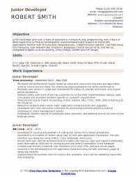 junior developer resume samples