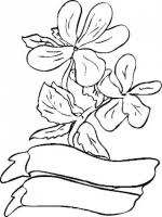 Planse de colorat cu flori nuferi de colorat p02 1736 vizite 11 voturi. Desene De Colorat Flori Qbebe Planse Si Imagini De Colorat
