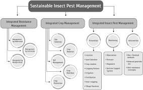 Pedigo and marlin rice download entomology and pest management (6th edition) isbn: Sustainable Management Of Insect Pests Springerlink