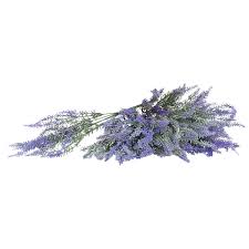 Silk flower arrangement white lavender pink centerpiece wedding ceramic bowl. Royal Imports Artificial Lavender Flowers Silk 12 Single Stems For Bouquet Home Decoration Wedding Centerpiece Wreaths Floral Arrangements Purple Buy Online In Bosnia And Herzegovina At Bosnia Desertcart Com Productid 144154069
