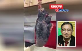 Yani sadece semptomları olan hastalar (burada olduğu gibi ateşi veya. Memang Itulah Rupa Paru Paru Perokok Metrotv
