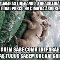 Check spelling or type a new query. Pin Em Mensagens De Bom Dia