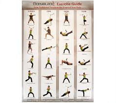 Bodyblade Fit Flow Kit With 2 Dvds Wall Chart Carrying