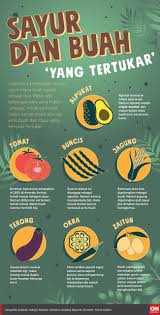 Salah kaprah 12 jenis buah ini sering disebut sebagai sayuran. Infografis Sayur Dan Buah Yang Tertukar