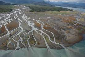 A river delta is a landform created by deposition of sediment that is carried by a river as the flow river deltas are important in human civilization, as they are major agricultural production centers and. What Is A River Delta Worldatlas