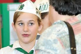 Dixon 4-H members shine