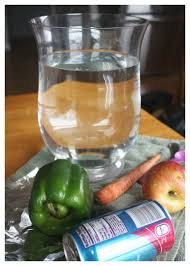 sink float water science experiment in