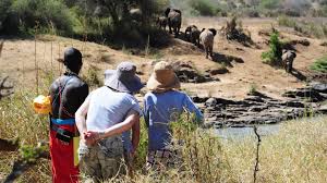 Maybe you would like to learn more about one of these? Traverse Laikipia On Foot Safarifrank Combo Walking And Camel Safari