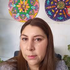 Casas decorativas para medidores de luz