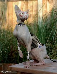 40 Truly Creative Examples Of Manipulated Robotic Animals Robot Animal Animal Photo Manipulation Animal Art