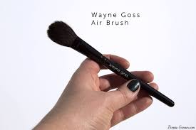anese makeup brushes