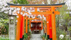 We did not find results for: Virtuelle Backgrounds Fur Zoom Skype Und Co Japan Reise Japanische Fremdenverkehrszentrale Jnto