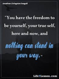 However, here is what we've been up to. 100 Jonathan Livingstone Seagull Ideas Seagull Jonathan Livingston Seagull Jonathan Livingston Seagull Quotes