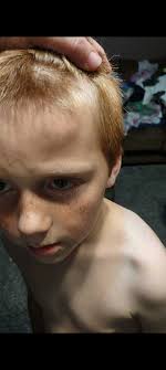 My Neighbor! I believe you should