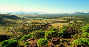 Template of lease agreement south africa. Land Lease Agreement Part 1 Oneafrica Properties