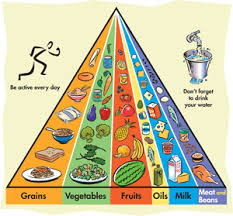 7 Components Of A Healthy Diet Jiamincjm