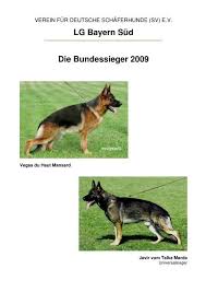 Pin von ute b auf hunde schaferhunde hunde schaferhund welpen. Verein Fur Deutsche Schaferhunde Sv Der