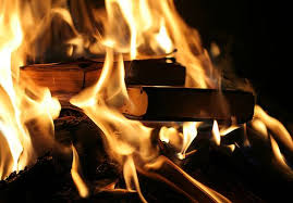 The Urgent Matter Of Books Book Burning The Book Thief Books