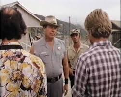 Moving to the very early stages in Marc Alaimo's TV career - Mean Dog Blues  (1978) - Starring as a Prison Transfer Guard. I don't think the plot  matters much! :-)