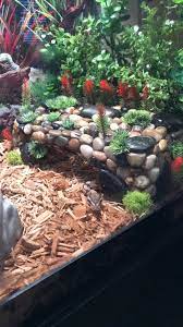 Diy Ball Python Hide Ball Python Snake Terrarium Pet Snake