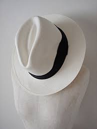 Pin By Jacqueline Melhorn On Summertime Hats For Women Hat Fashion Hats