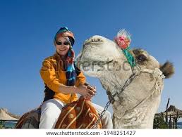 Huge collection, amazing choice, 100+ million high quality, affordable rf and rm images. Shutterstock Puzzlepix