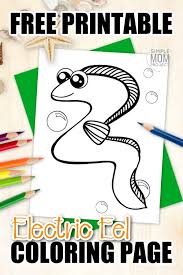 59k.) this stingray coloring pages free and printable for individual and noncommercial use only, the copyright belongs to their respective creatures or owners. Free Printable Stingray Coloring Page Simple Mom Project
