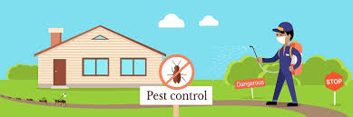 Find out tips with essential oils for pest control to defeat pest that control your area! Natural Remedies To Maintain Pest Free Homes Meregate
