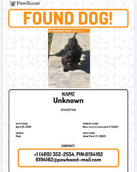 Pin By Nancy Gomes On Animals Lost Found Dogs Find Address Dogs Lost Found