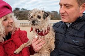 L U N A . . . just picked up from the breeder and brought straight to us 🧡  With new puppies, kittens and bunnies we like to create a positive  experience