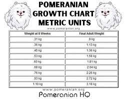 Not that i care how big she gets, but wanted a dog to protect my family while i'm on the road. Pomeranian Weight Chart