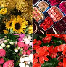 Wholesale flowers & supplies has spent nearly thirty years providing stellar service and amazing bouquets and loose flowers in san diego, california. Boulevard Florist Wholesale Florist And Flowers In Los Angeles