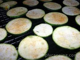 Check spelling or type a new query. Dehydrating Foods Zucchini