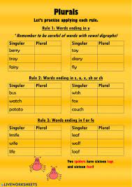 Pin On Singular Plural