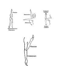 Image result for Shoulder Range of Motion Exercises