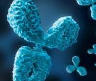 N o u v e a u c o n c e p t anticorps monoclonaux humanisés et vaccinations dans les cancers du sein ● ph. Lutte Contre Le Cancer Des Progres Extraordinaires Realises Grace A L Immunotherapie Biotech Info