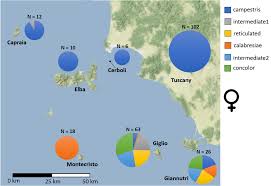 Image result for Verde Giannutri 2008 147