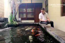 Koi dan ikan mas jenis lain bisa berukuran sangat besar, kadang panjangnya mencapai 1 meter lebih! Suka Ikan Koi Cara Pemeliharaan Dan Membuat Kolam Agar Ikan Tak Mati Semua Halaman Idea