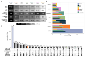 Cancer council victoria bowel cancer research walker wayland australasia fund Measuring Pathway Database Coverage Of The Phosphoproteome Peerj