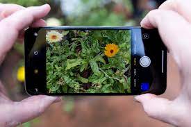 We did not find results for: 11 Photography Tips And Tricks For Better Smartphone Photos