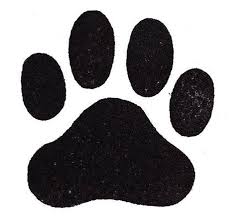 Pin On Animals