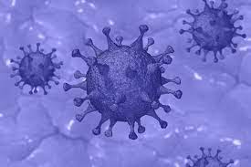 Sotrovimab is authorized only for the duration of the declaration that circumstances exist justifying the authorization of the emergency use of sotrovimab. Research Demonstrates Novel Mechanisms By Which Sars Cov 2 Enters Host Cells Precision Vaccinations