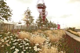 Sarah Price Landscapes Olympic Gardens Europe Olympic Garden Naturalistic Garden Garden Landscape Design