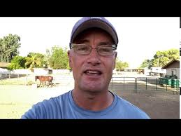 Training Tip Tuesday! Neck Reining With a Snaffle Bit.