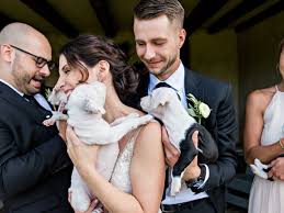 Now all that's left is to kick back, relax, and admire your handiwork. Who Needs Bouquets When You Can Have Puppies Bride And Groom Have Rescue Puppy Cuteness Overload At Their Wedding Love What Matters