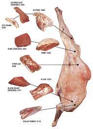 This is especially important if the camel has to carry supplies, a people, or both. Samex Australian Meat Exporters