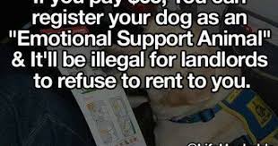 Pay 65 And Register Your Dog As An Emotional Support Animal And It Will Be Illegal For Landlor Emotional Support Animal Emotional Support Dog Being A Landlord