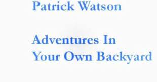 Patrick Watson Adventures In Your Own Backyard Omg This Song So Lovely It S Wonderful You Have To Close Your Eyes And Lis Cool Lyrics Best Songs Songs