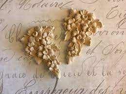 Tipica pianta a rosetta, ma con fiori molto spettacolari, a differenza di tutte le altre piante del suo genere. Fiori Giallo Verdognoli A Grappolo