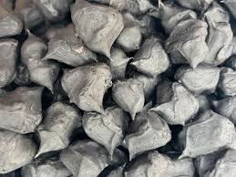 Image result for Trapaceae